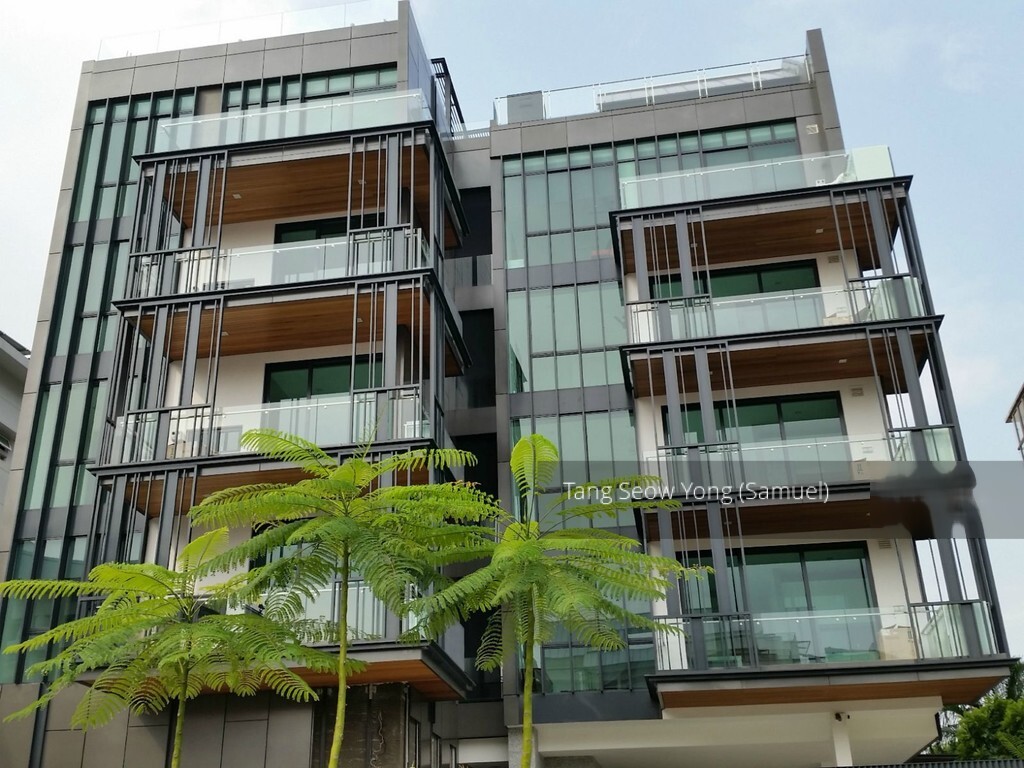 7 on Chapel (D15), Apartment #239680341